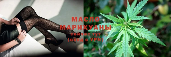 индика Беломорск
