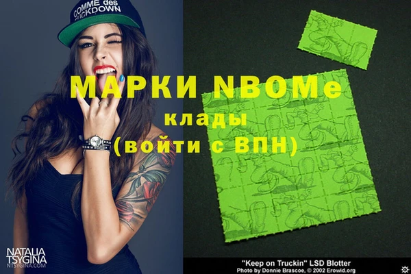 индика Беломорск