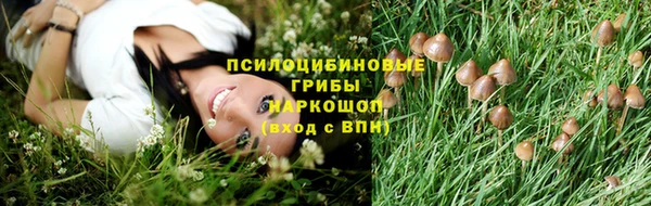 индика Беломорск