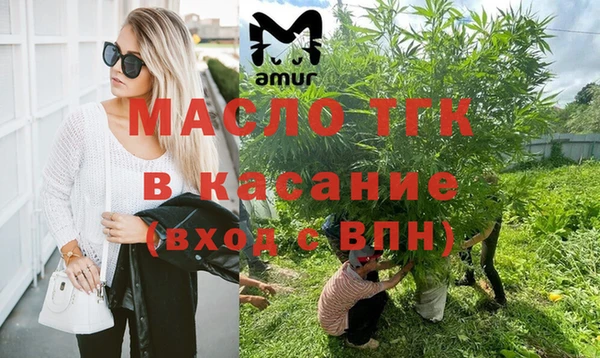 индика Беломорск