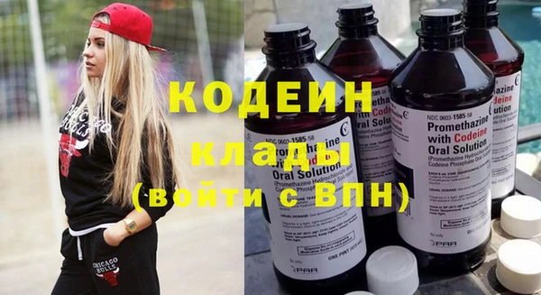 индика Беломорск