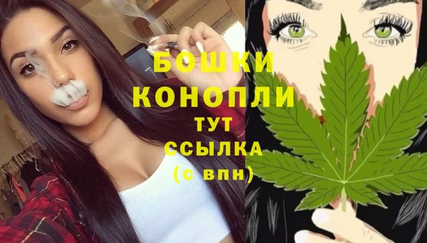 индика Беломорск